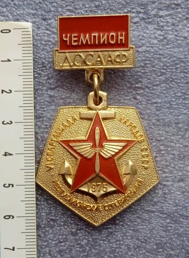 Чемпион ДОСААФ.