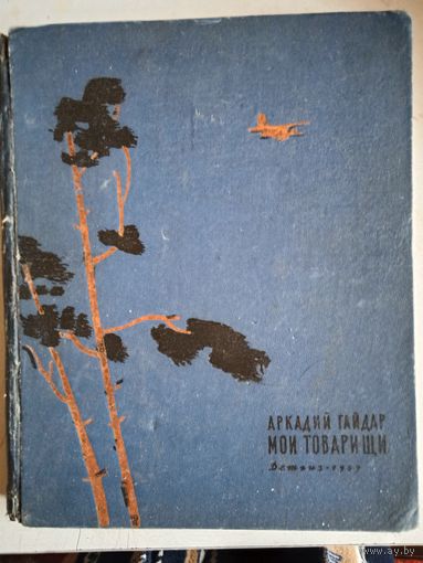 Мои товарищи