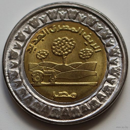 Египет 1 фунт 2019 год "Новая Египетская деревня"
