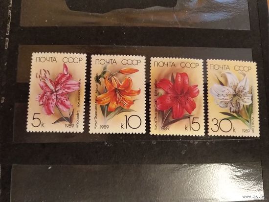 1989 СССР флора цветы Заг 5983-5986 полная чистая серия клей MNH**(сф-2)