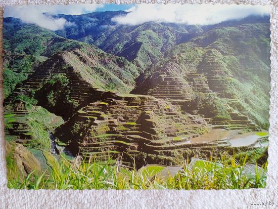 Филиппины. Рисовые террасы Банауэ, которым 2000 лет