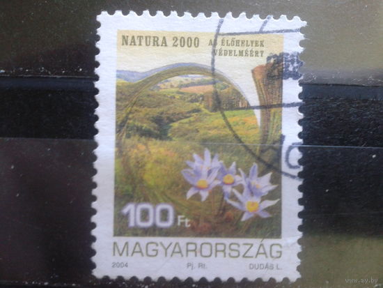 Венгрия 2004 Природа, цветы Михель-1,4 евро гаш