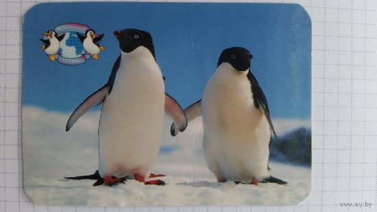 Календарик.Пингвины.