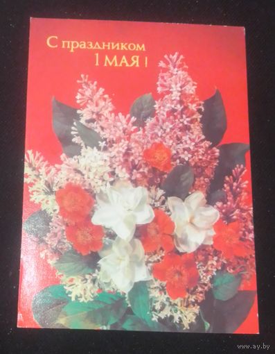 С праздником 1 Мая!(фото И.Дергилева).