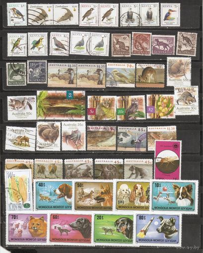 ФФ1 Сток марок гаш