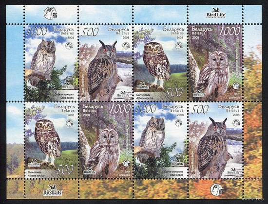 2008_Совы Беларуси.
