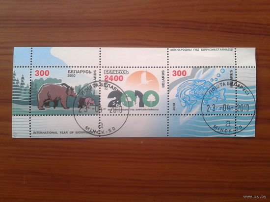 2010 Год биоразнообразия Блок