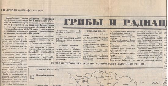 Грибы и радиация на карте Беларуси.