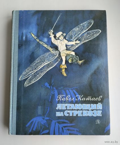 Катаев Павел. Летающий на стрекозе.