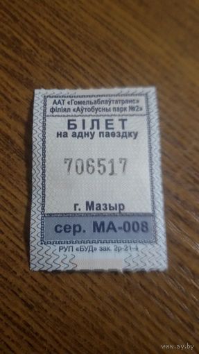 Билет на автобус г.Мозырь