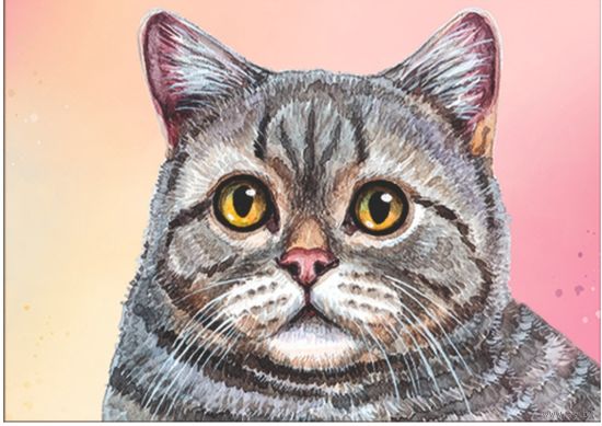 Кот. Из серии "Домашние питомцы" Открытка, глянец