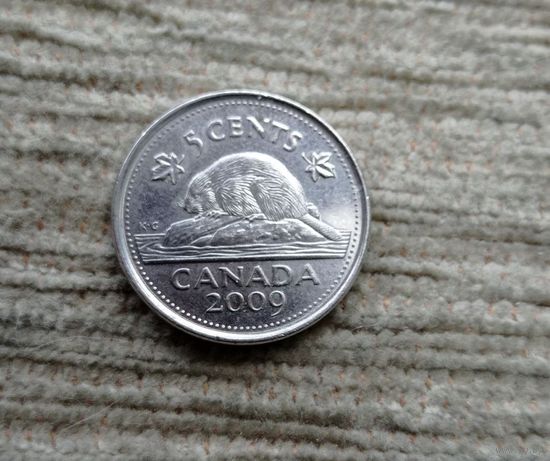 Werty71 Канада 5 центов 2009 Бобр