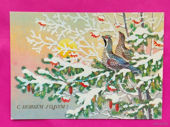 С Новым годом! Чистая. 1989 года. Базаров. *328.