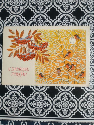 Открытка СССР 1988 год. Чистая. В.Базаров. Состояние на скане.