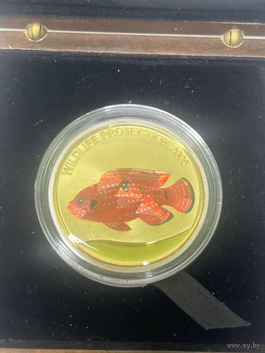Конго 10 франков 2005 год. Рыба красная. Призма, голограмма. Серебро