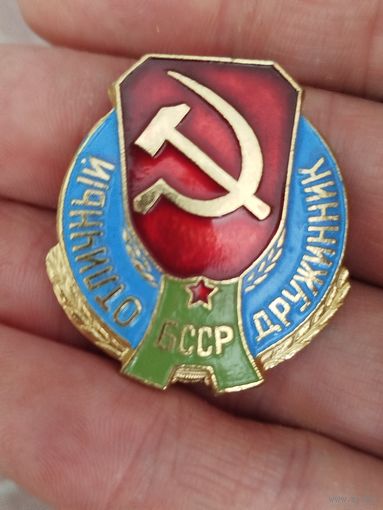 Отличный дружинник бсср