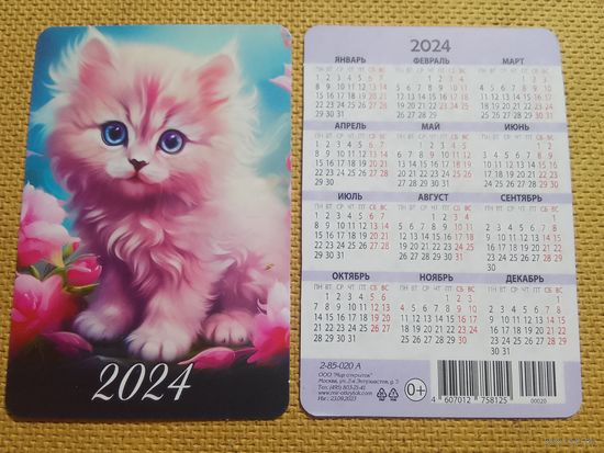 Карманный календарик. Котик. 2024 год