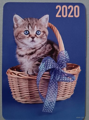 Кот. Календарик, 2020