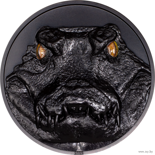 RARE Палау 10 долларов 2023г. "Охотники ночью - Кайман". Obsidian Black. Монета в капсуле; подарочной рамке - футляре; сертификат; коробка. СЕРЕБРО 62,20гр.(2 oz).