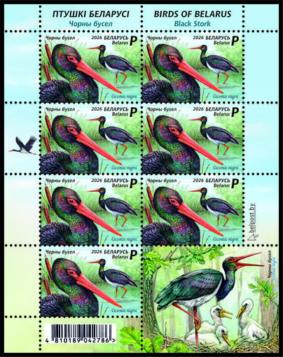 2026 БЕЛАРУСЬ   малый лист  "Птицы Беларуси. Черный аист" MNH