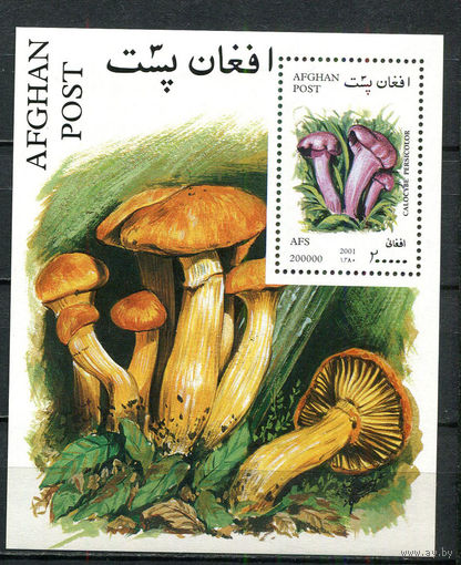 Афганистан - 2001 - Грибы - [Mi. bl. 120] - 1 блок. MNH.  (Лот 32JQ)-T3P10