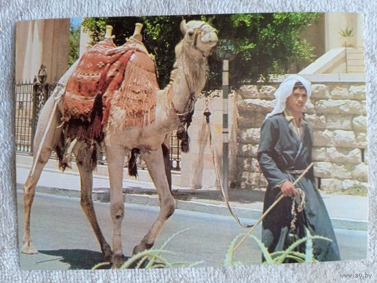 Этнография. Израиль, Иерусалим. Уличная сцена в Старом городе