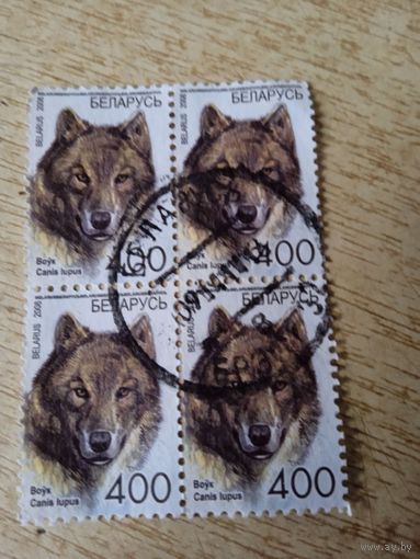 2008 Беларусь. Стандарт, Волк.Квартблок