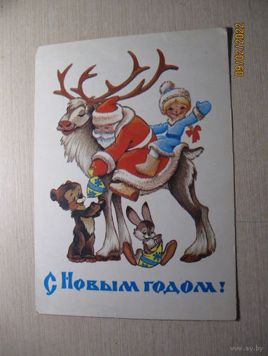 Четвериков В. 1981г.