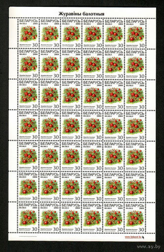 Беларусь. 2004. Стандарт. Клюква болотная 30р. Лист 7х6