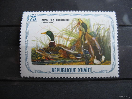 Гаити.  Птицы Адюбон.  1975 г. см. условие.