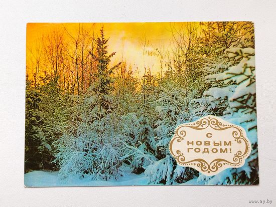 С новым годом! Подписанная. 1975 года. Костенко. 461.