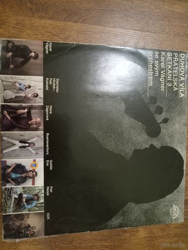 Виниловая пластинка