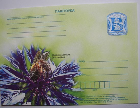 Карточки РБ. Медоносная пчела. 2011г.