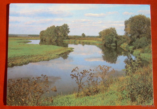 Пейзаж. Чистая. 1989 года. Фото Самсоненко. 824.