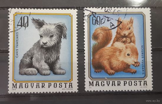 Венгрия. 1976 год. Фауна. Зверята