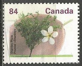 Канада. Ореховое дерево. 1991г. Mi#1272.