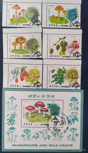 КНДР 1989 Грибы
