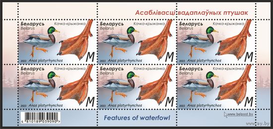 2023 БЕЛАРУСЬ  малый лист марок "Качка-крыжанка" MNH