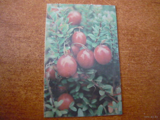 1991.
