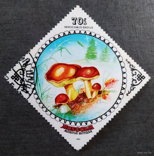 Марка Монголия 1985 год Грибы