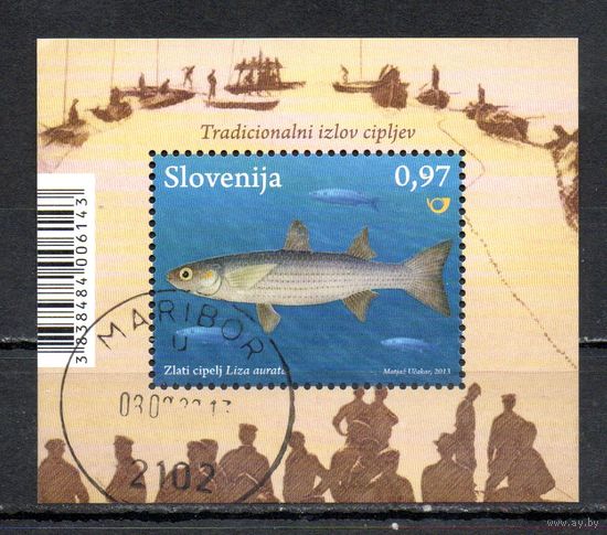 Морская фауна Словения 2013 год 1 блок