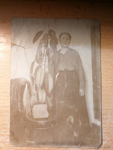 Фотография.