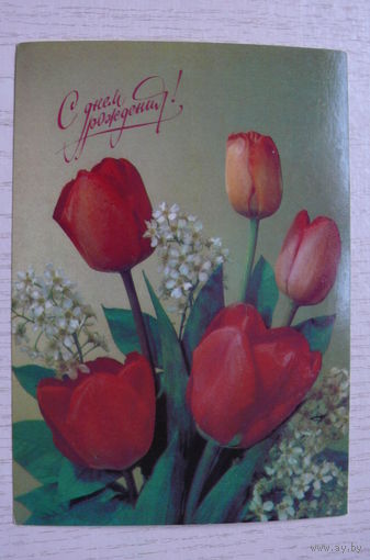 Дергилев И., С днем рождения! 1990, 1991, чистая.