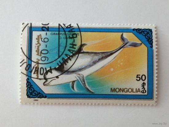 Монголия 1990. Киты.