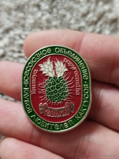 Клуб любителей кактусов,3