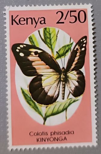 Кения, бабочка