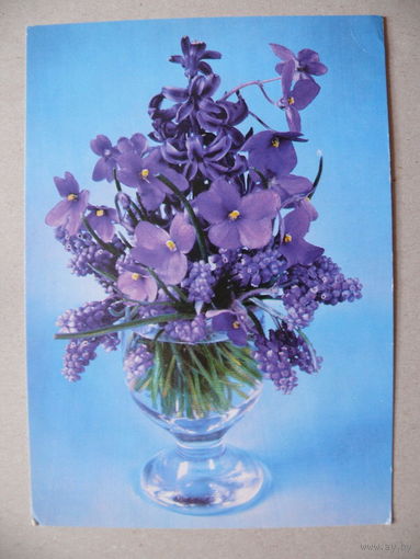Открытка ГДР, Цветы (59), 1973, чистая.