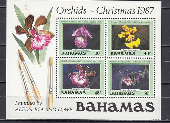 Флота. Орхидеи. Багамы. 1987. 1 блок. Michel N бл52 (20,0 е)