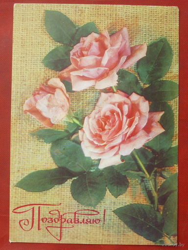 Поздравляю! Подписанная. 1978 года. Дергилева. 818.