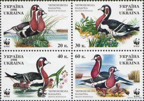 Украина 1998. WWF Птицы Утки 4 марки (128)